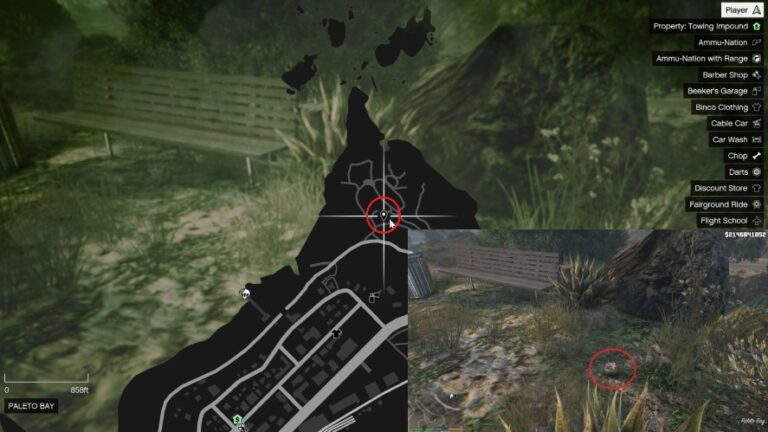 All 27 Peyote Plant Locations In GTA 5 (Map & Guide) - 🌇 GTA-XTREME