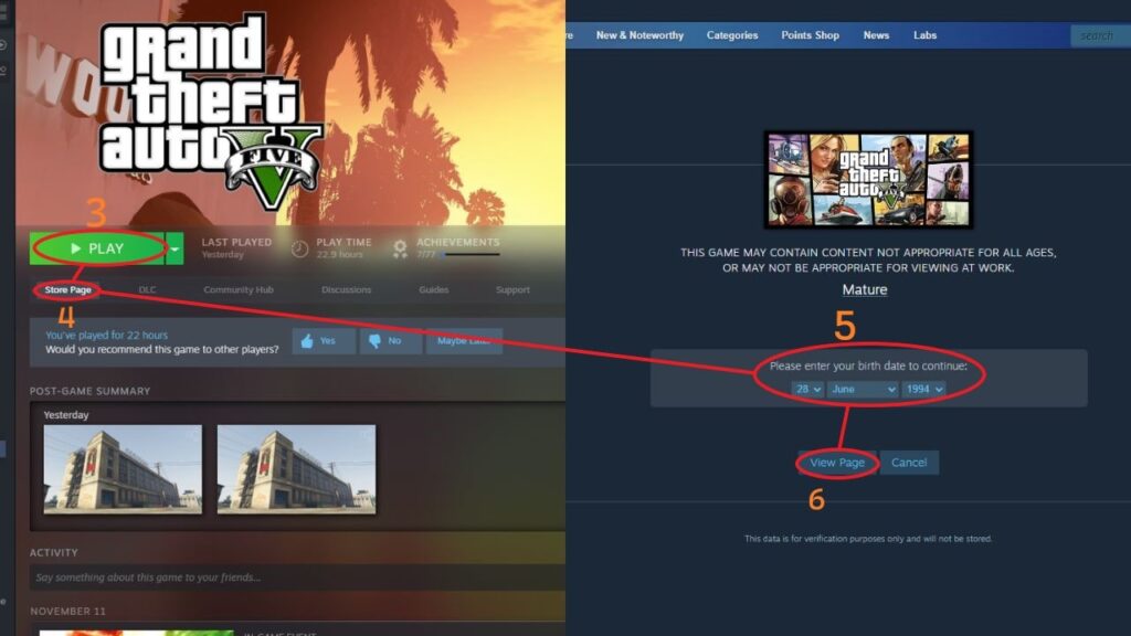 Grand Theft Auto V in Steam Library with an age verification request.