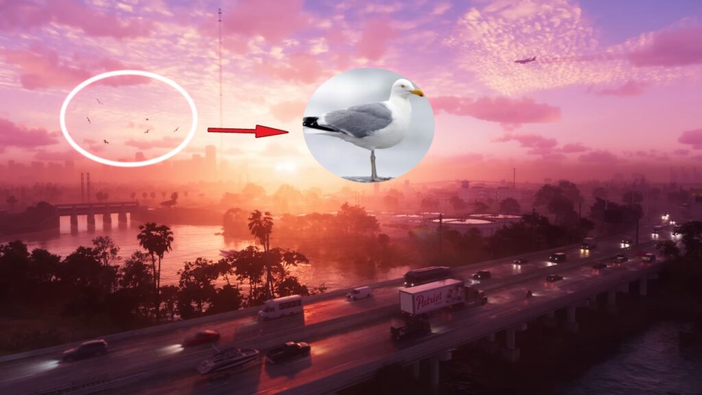 Seagulls in GTA 6 Trailer