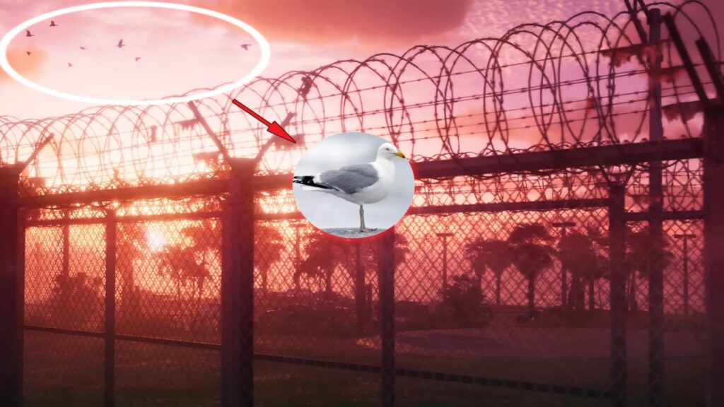 Seagulls appear in the next scene, which showcases the wired fences where Lucia is.