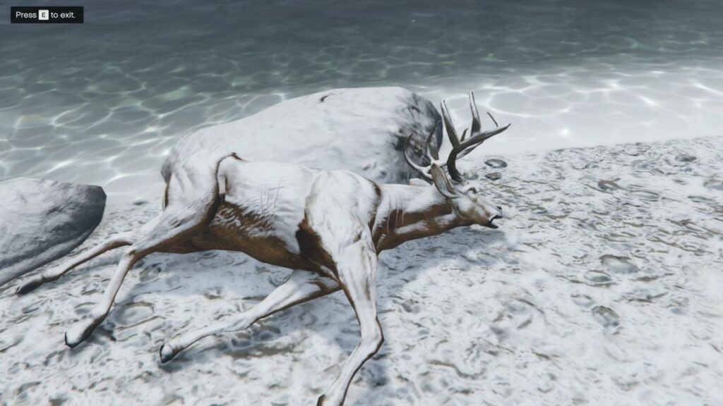A dead deer lying next to snowy river.