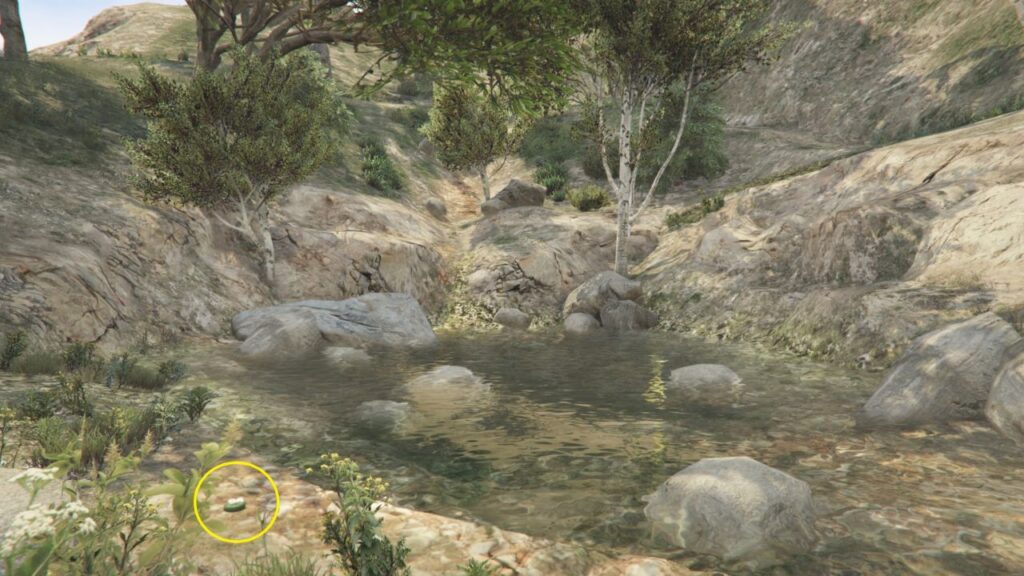 The Peyote Plant next to a small body of water in Mount Gordo.
