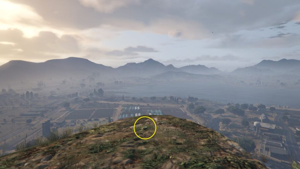 The Peyote Plant at the edge of the foot of Mount Chiliad, overlooking the city of Grapeseed.