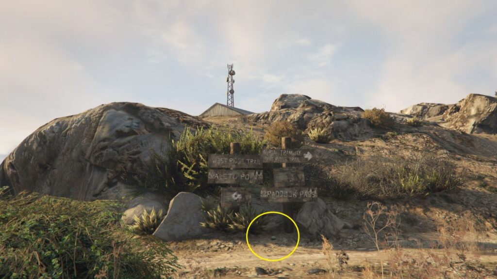 Eine Peyote-Pflanze neben einem Schild auf dem Gipfel des Mount Chiliad, das zu verschiedenen Orten in GTA Online führt.