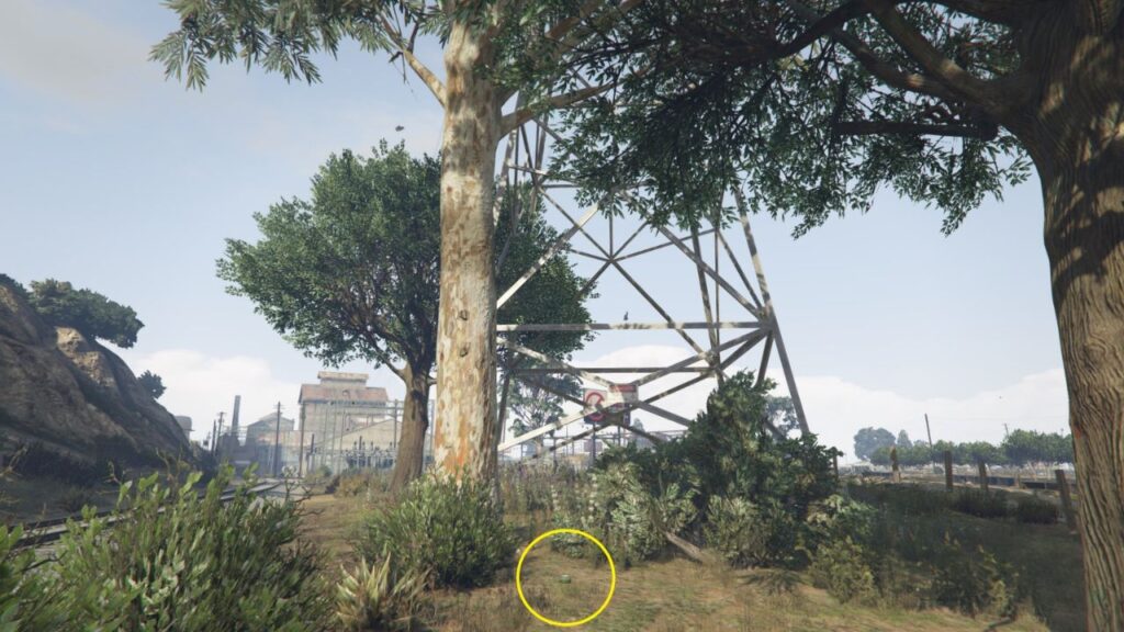 Die Peyote-Pflanze neben einem massiven Baum und Eisenbahnschienen mit Blick auf einen nahen Sendemast.