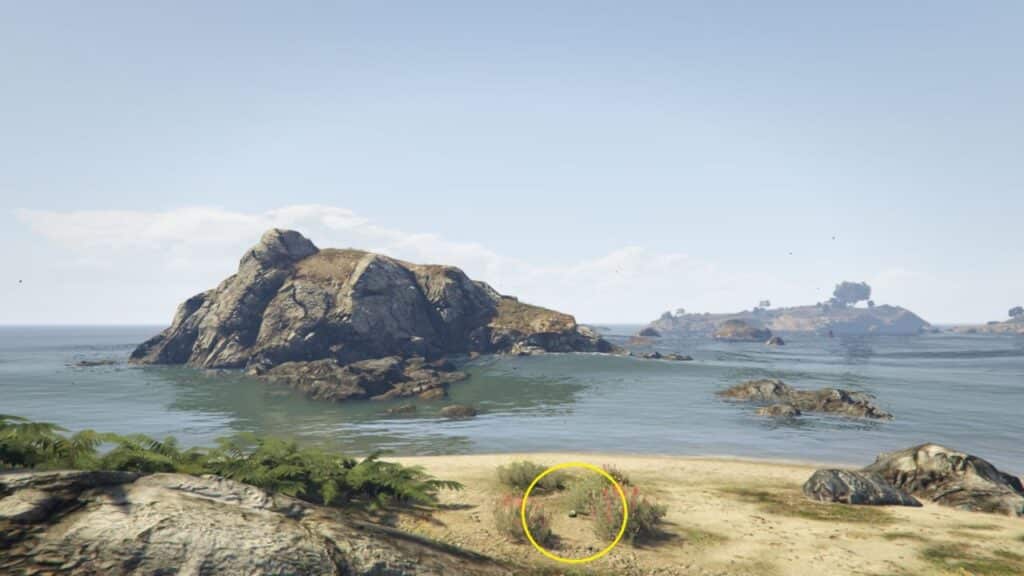 The Peyote Plant hiding at the vegetation in Paleto Cove.