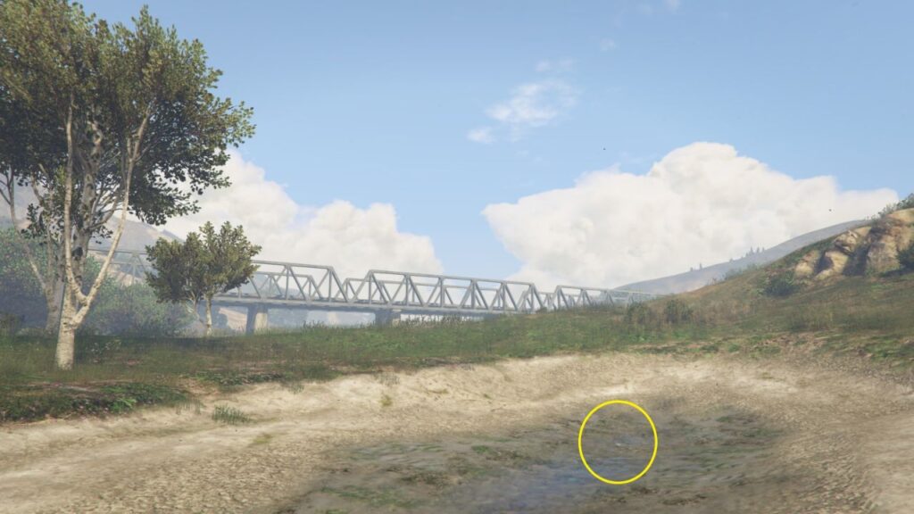 The Peyote Plant in a shallow body of water overlooking the Zancudo bridge in GTA Online.