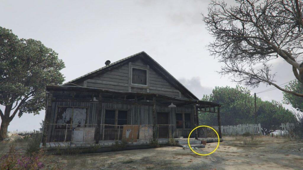The Peyote Plant right in front of a rickety-looking house in Harmony, Blaine County.