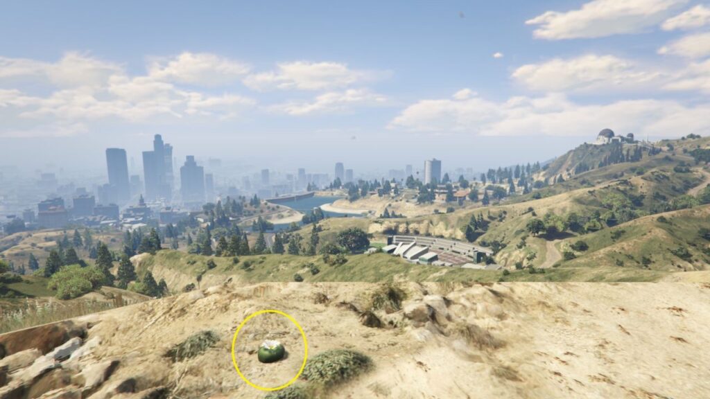 The Peyote Plant at the top of a hill, overlooking the nearby city of Los Santos.