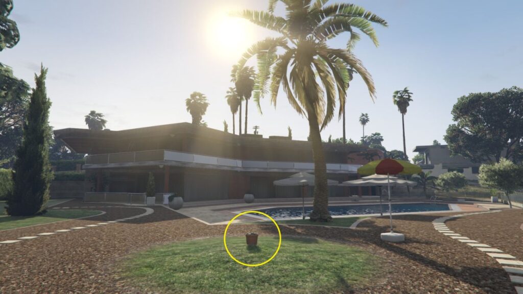 The Peyote Plant at the back of a mansion in Lake Vinewood Estates.