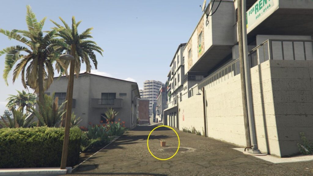 A Peyote Plant in garden pot at an alleyway between a garden and buildings in Downtown Vinewood.