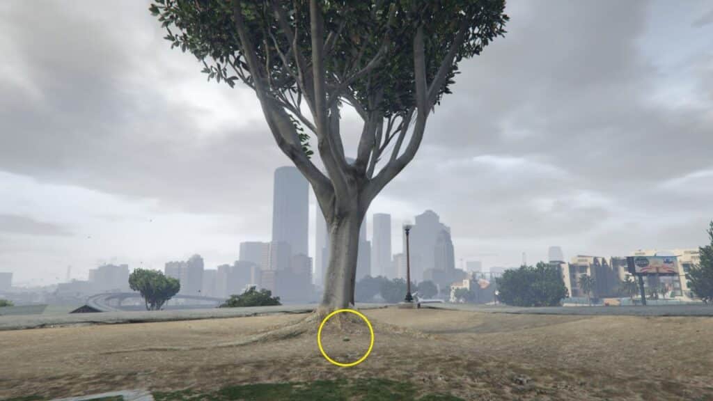 The Peyote Plant next to a huge tree in the Broker Park in East Vinewood.
