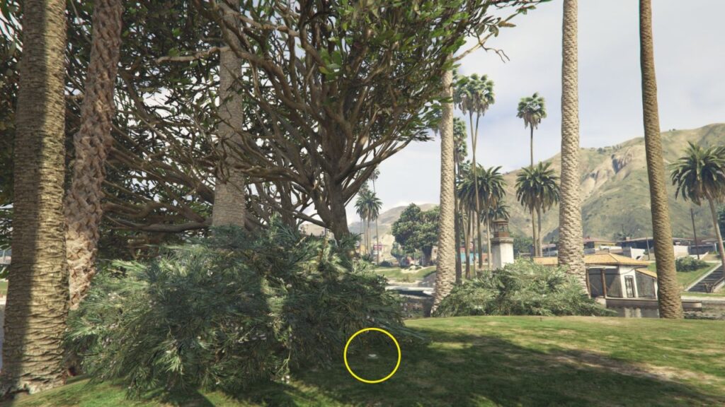 Die Peyote-Pflanze versteckt sich in Büschen in der Nähe von massiven Bäumen in der Mitte des MIrror Park Lake in GTA Online.