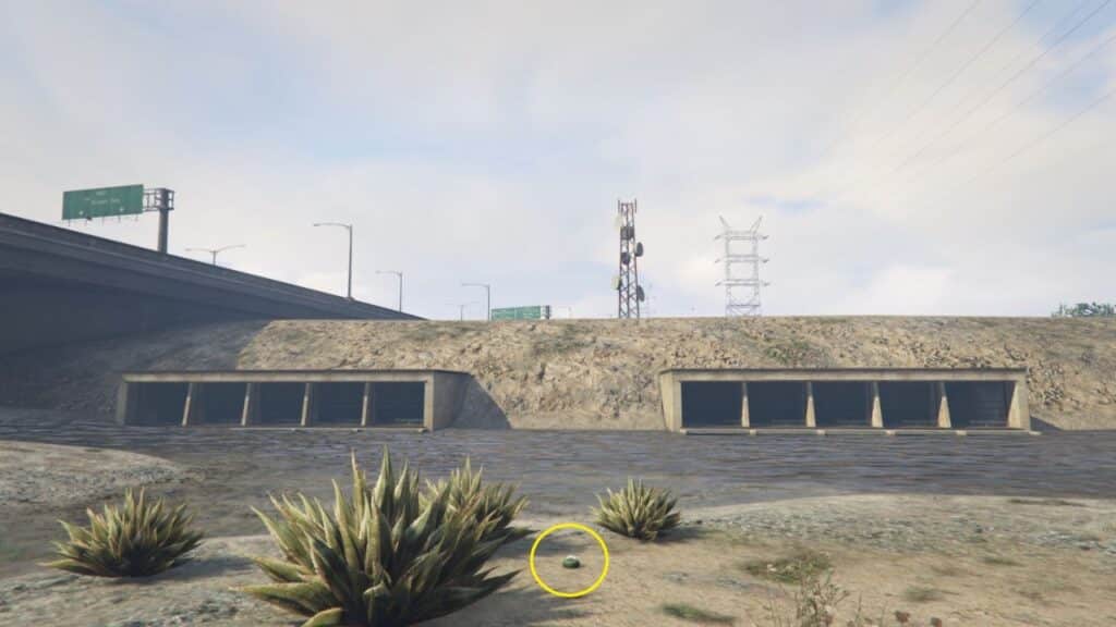 The Peyote Plant near the Los Santos River with a neighboring tower.