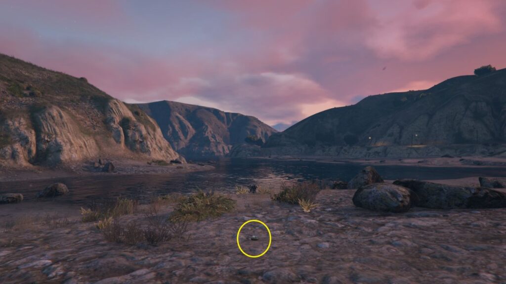 Die Peyote-Pflanze ist aufgrund der Entfernung des Spielers neben dem Damm kaum sichtbar.