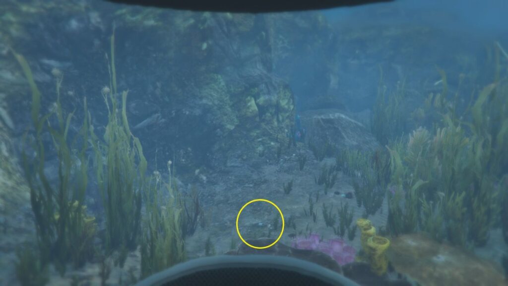 The Peyote Plant underwater near a big rock and various sea plants.