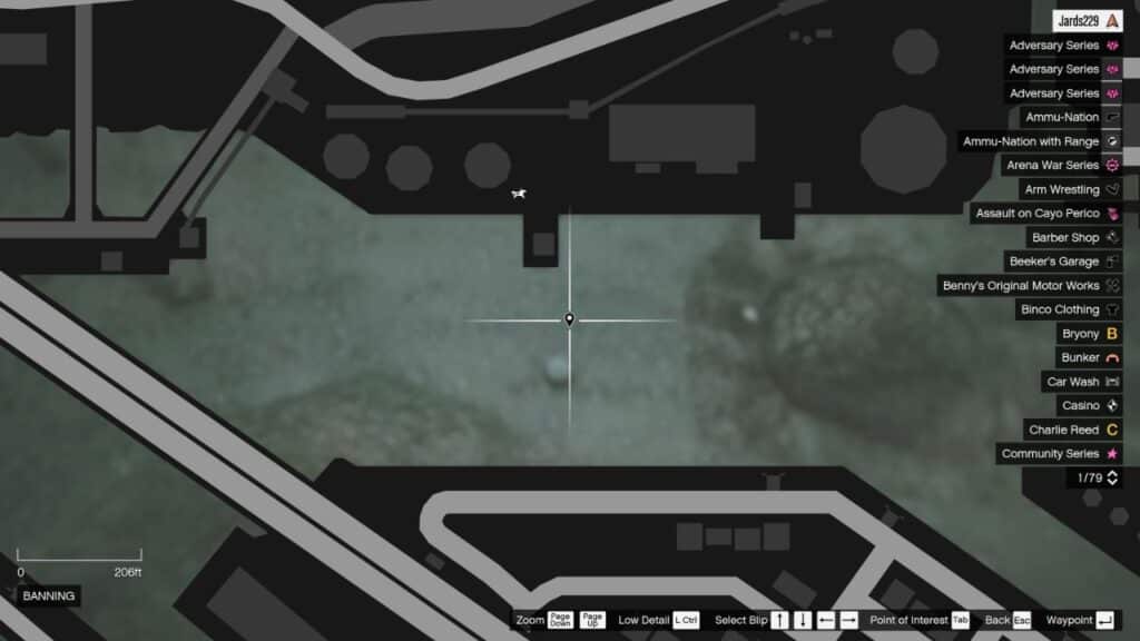 Die Karte in GTA Online mit dem Standort der Peyote-Pflanze in Unterwasser Banning & Elysian Island.