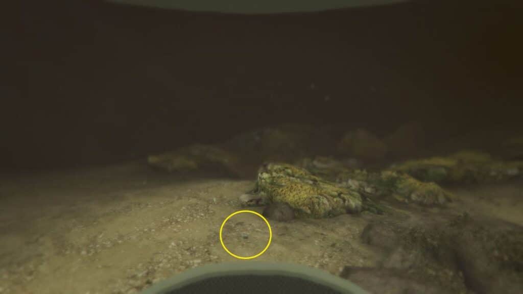 The Peyote Plant underwater next to rock formations.