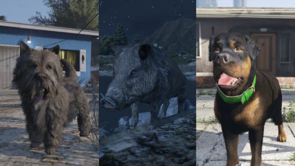Zwei Hunde und ein Wildschwein, die vom GTA Online Protagonisten gespielt werden, schwenken auf die Kamera.