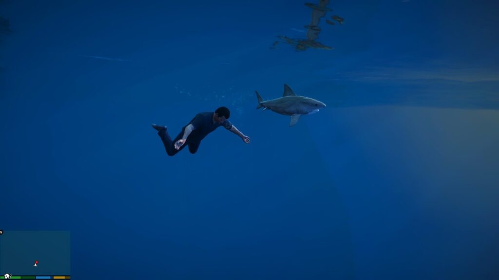 Michael being hunted by the shark 